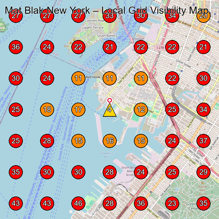 Mat Blak New York GeoGrid visibility map for Hair Salon in Brooklyn
